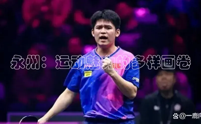 九游会登录j9入口官网