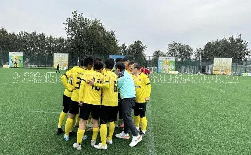 九游会登录入口官网