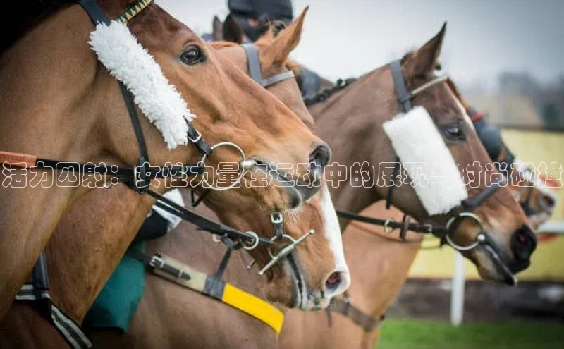 j9九游真人游戏第一平台