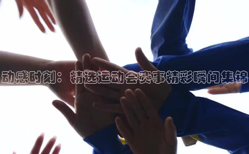 j9九游会国际站官方网站